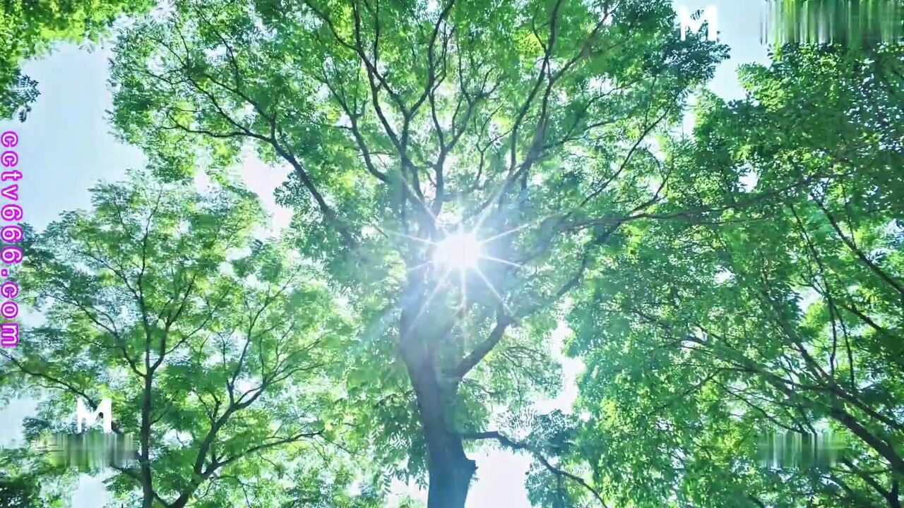 戀父女兒PK痴漢老爸 第一次給爸爸